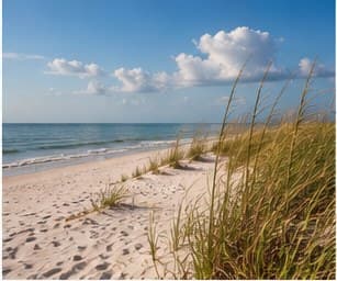 A Gulf beach in Naples Florida