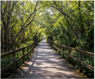 Nature trail and coastal outdoor scene in Naples Florida